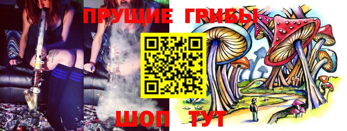 Псилоцибиновые грибы мицелий Выборг