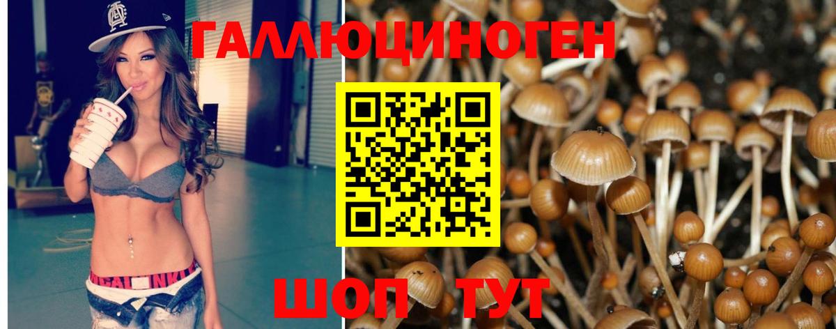 Выборг  Галлюциногенные грибы MAGIC MUSHROOMS  Вход с VPN  Псилоцибиновые грибы Psilocybine cubensis 